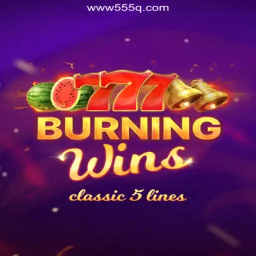 555Q.COM platform-online Slots Brasil #1 Bingo Games