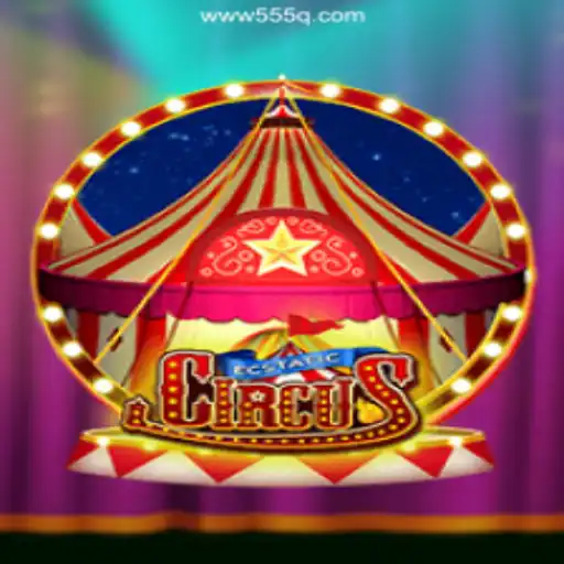 555Q.COM platform-online Slots Brasil #1 Bingo Games