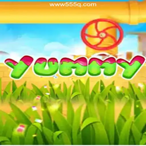 555Q.COM platform-online Slots Brasil #1 Card Games